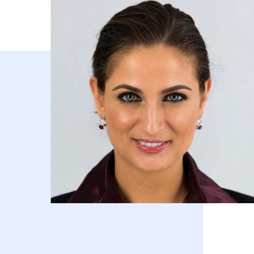 Andreea I. NICULESCU